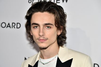 Timothée Chalamet rose to fame with Call Me by Your Name.